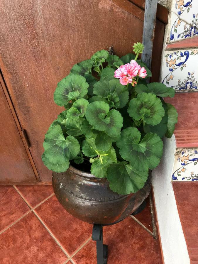 Casa Rural La Herencia Alía 외부 사진