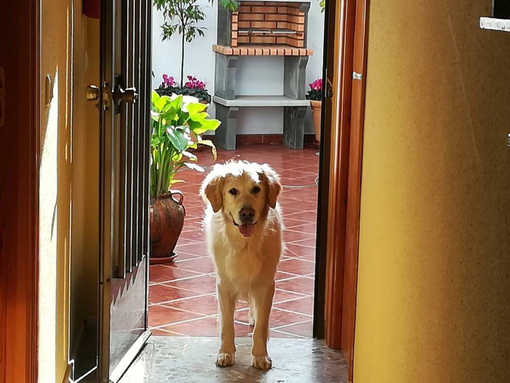 Casa Rural La Herencia Alía 외부 사진